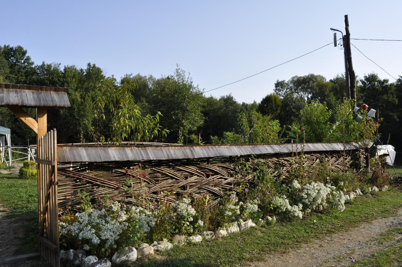 Floare De Maramures 2 Sighetu Marmatiei Exterior photo